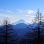 Oimo's English Diary for Japanese Learners!