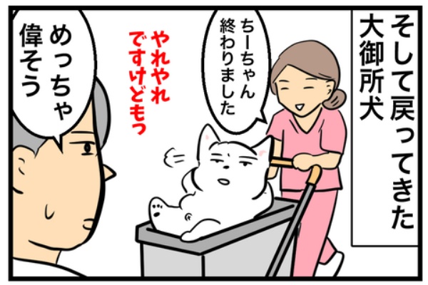 ちーちゃんっ🐾 - ウエスティ