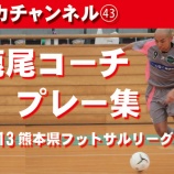 『シカチャンネル㊸』の画像