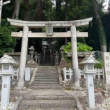 『【宇陀市室生口大野】室生寺の紫陽花と龍穴神社と立派な大杉のご神木がある海神社を訪れた話』の画像