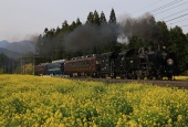 『2026/4/26運転 東武鉄道SL大樹8号』の画像