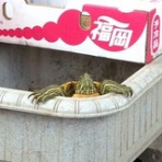 ま、こんな感じでいきますか??