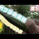 『お盆休みでした！！先週の放送とか』の画像