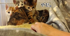 早くよくなーれ！