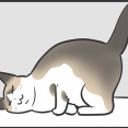29日はぺーやんの日