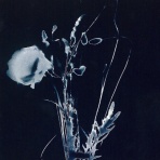 音楽雑談ブログ うさころの4Bえんぴつ