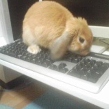 『元気な頃の娘』の画像