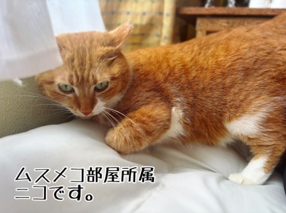 おウチの中なら大丈夫☆幸せ便りクイズ