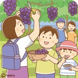 『【クリップアート】ぶどう狩りをする兄弟のイラスト』の画像