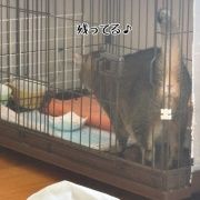 嵐の前にすること。