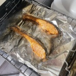 たにし大記録