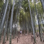 空の下の路から　〜from the trek under the sky〜