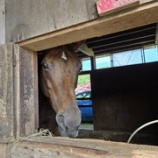 『写真拒否』の画像