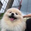 ミルクちゃん♪