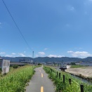 平日真昼のジョグ