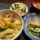 多分インフルエンザ＆白菜と豚肉の丼