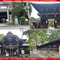 祇園祭2026(7)~八坂神社/花前カレン