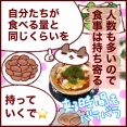 日本食はやはり人気がある⭐️親戚と持ち寄りパーティーをした話