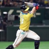 大田泰示さんが日ハムに移籍してキャリアハイを達成した項目wwwwwwww 	