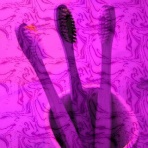 魔界のニュース