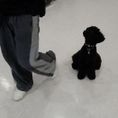 お勉強の時間😄