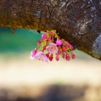 KaminariRacingブログ