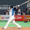 中田翔 .256 23本(4位) 68打点(4位)←これが騒がれない理由なんなの