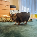 動いても可愛い春乃さん