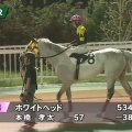 7/4 船橋ハートビートナイター記念(B1B2)【ホワイトヘッド≪60戦目≫】