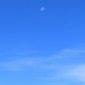 �Ф�����Ȥ���ī�η�夲