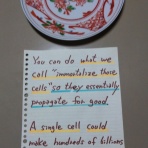 ★早慶・国公立・難関大学受験英語相談室（記憶と思考の近道２３４５)井川治久の小話