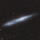 TASConリコリモ　ちょうこくしつ座のNGC55