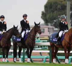 誘導馬ちゃんだョ！全員集合！（25/12/27・第148回 中山大障害・中山競馬場）