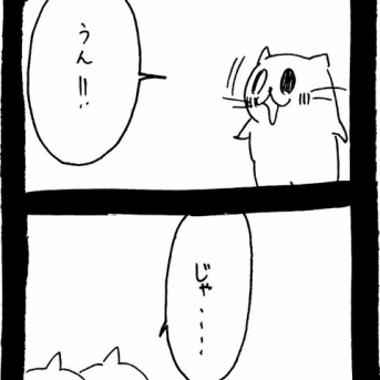 ドワーフキャットタオルちゃん80