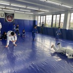 ブルテリア格闘技ジムｘボンサイ柔術浜松ブログ