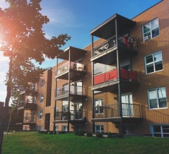 入居率の低い収益不動産は「ペット可物件」への転換で改善できる！