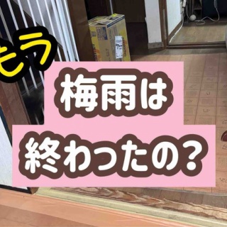 メルロコ一家の横須賀ストーリー