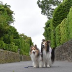 メロディ＆ミニーの写真館