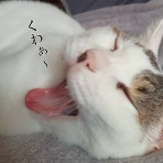 moroのハンドメイド