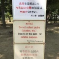 セミの幼虫「度を超えた」夜間の大量採集　中国語でも「採取禁止」注意喚起の張り紙　都内の公園