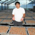ウイスキー樽で梅干し　水戸の3代目が挑む不易流行　観光梅園も