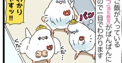 ベビバブのパンパンなポンポン、ラブリーだ