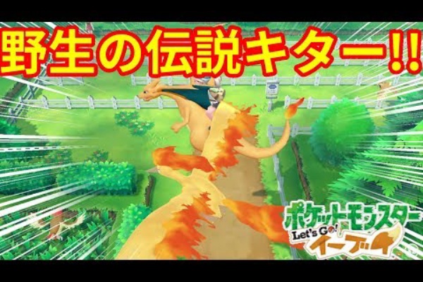 Torrent Japan 19年04月