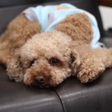 『本日、開場しています！』の画像