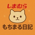 しまむらコーデ365日