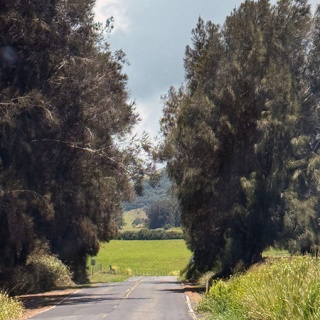 一日・ 一ハワイ  - ハワイ旅行ブログ -