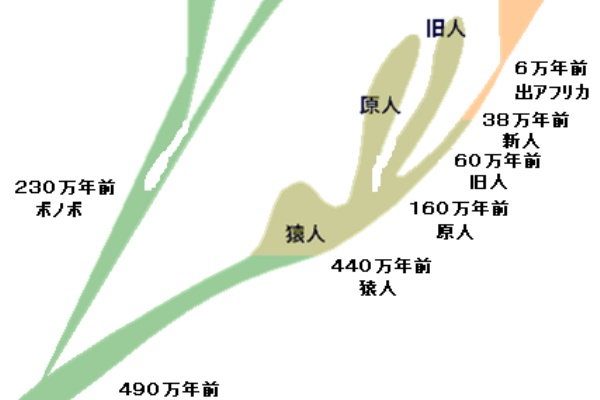 ヒトの進化 Hsnemuのブログ