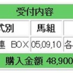 爆発力のある馬券予想：競馬