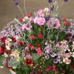 モナガーデン_中西園芸のblog