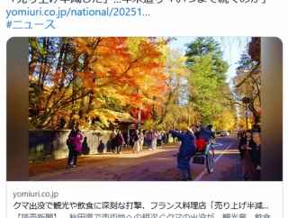 【（・(ｪ)・）】クマ出没で観光や飲食に深刻な打撃、フランス料理店「売り上げ半減した」…年末迫り「いつまで続くのか」